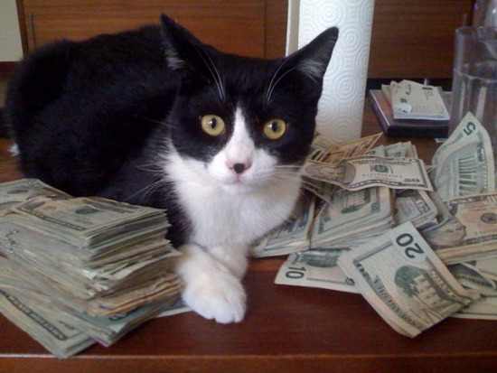 The Guardian Cub isn't the only cat making money.