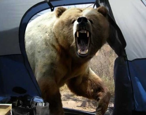 The only way out of the tent is through the bear's butt after it eats you and poops you out.